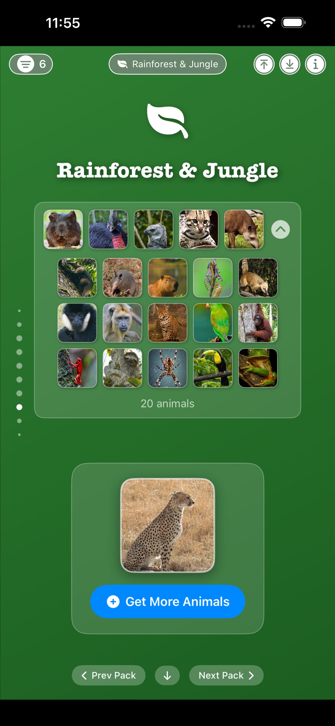 Rainforest & Jungle pack