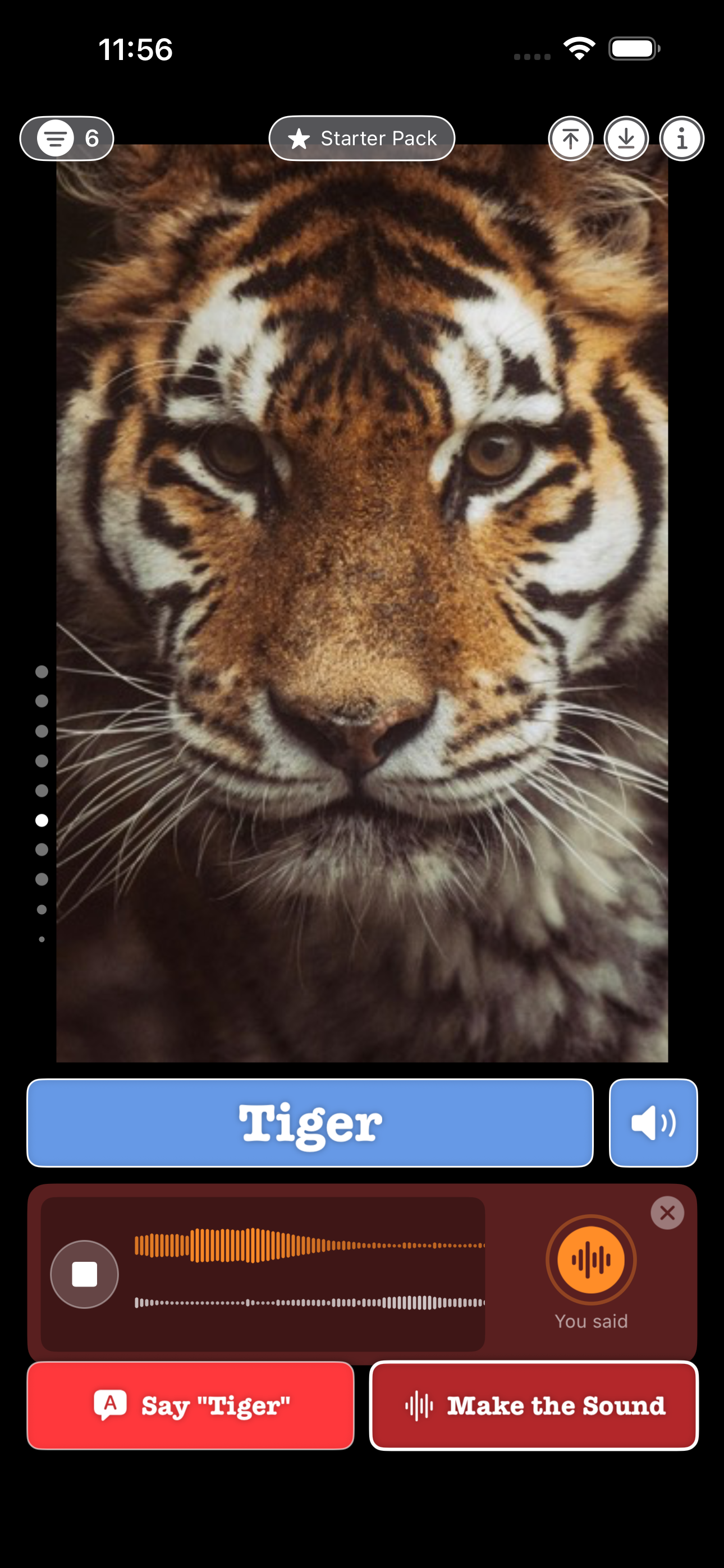 Tiger with recording